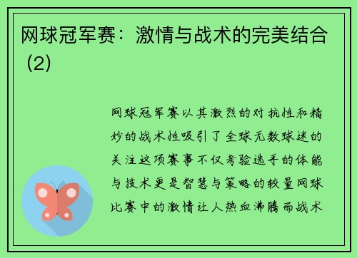 网球冠军赛：激情与战术的完美结合 (2)